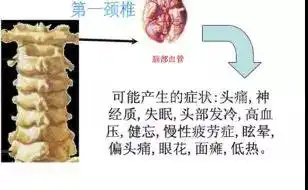 然并卵搞笑图片颈椎