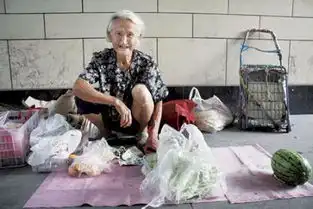  痛心几盆棕子叶引发的血案,好似重复上演的悲剧