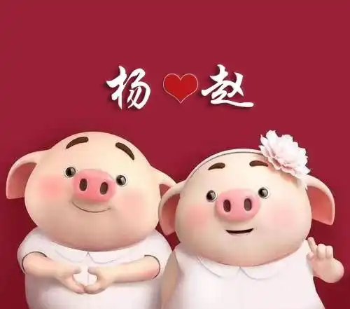 猪图片大全搞笑可爱推广