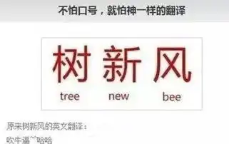  qq空间幽默搞笑的带图片说说短句,笑死人了