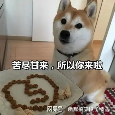 睡觉了的图片搞笑表情幽