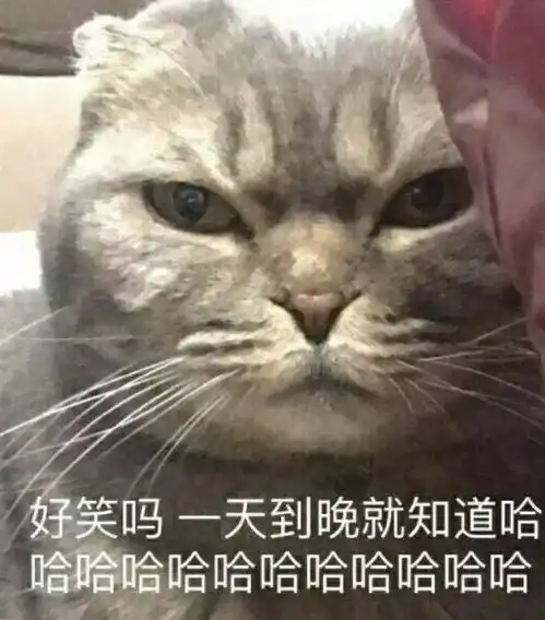  看完老公手机相册里的照片,我想离婚了搜狐搞笑搜狐网