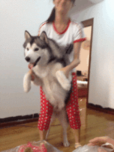  搞笑gif图片如此可爱的小恶魔真是很少见