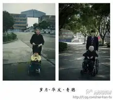 南天门被枝繁叶茂挡住了,二十年间,我们...hao123网址导航  南天门被枝繁叶茂挡住了,二十年间,我们...hao123网址导航