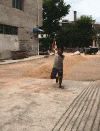 狗的搞笑图片gif幽默段