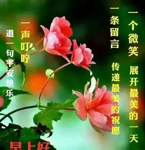  发朋友圈的早上好幽默问候语,经典有内涵的早安说说