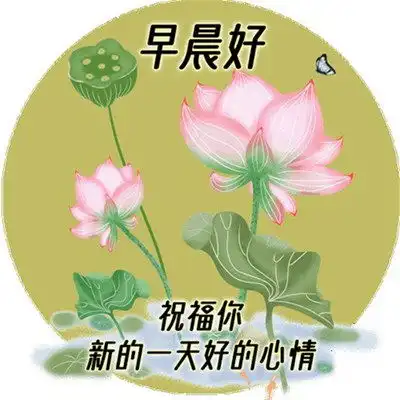 清晨问候图片搞笑漂亮图