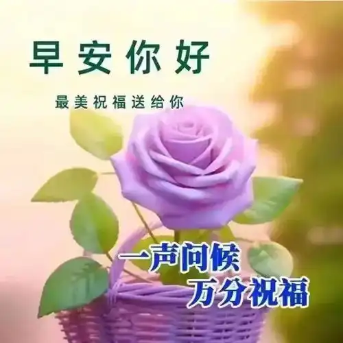  2024年6月24日最新早上好图片送好友早安问候图片