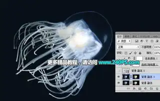  如何巧用ps通道工具抠出透明水母
