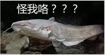  99的人这样过国庆,只有1的人