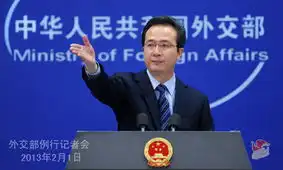  中方支持安理会为政治解决叙问题发挥更大作用
