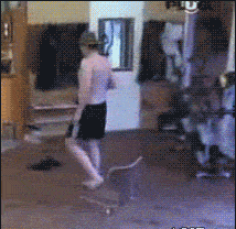 欢乐五重奏每个笑话都是心情调味剂  欢乐五重奏每个笑话都是心情调味剂