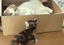 跟老同学半年没见了,她的变化可真大啊这是交男朋友了吧  跟老同学半年没见了,她的变化可真大啊这是交男朋友了吧