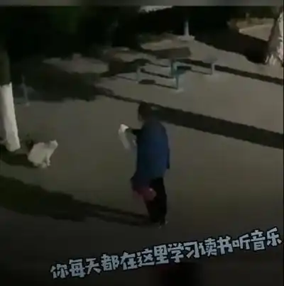  深夜高校大爷训话猫咪学习读书听音乐网友表示有被内涵到