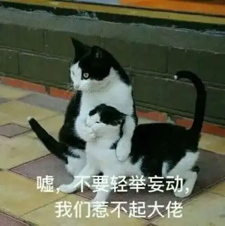  你和大佬的详情页最大的差距,并不在技法