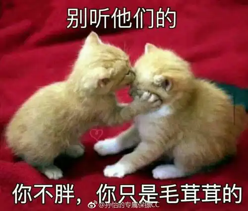  蠢到了一种境界是种怎样的体验