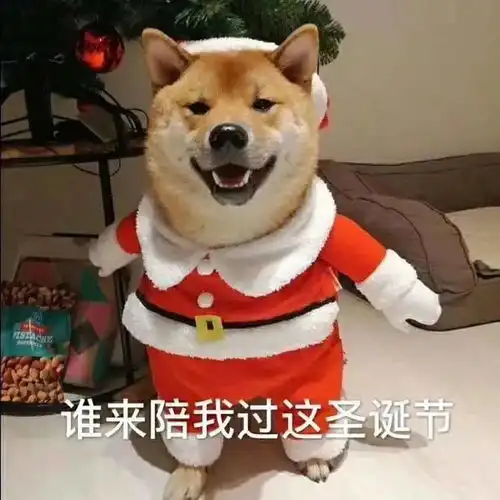  圣诞节表情包
