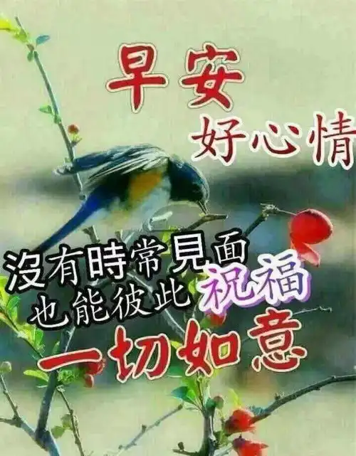  新版早上好问候语动态图片,微信朋友圈早晨问候语大全