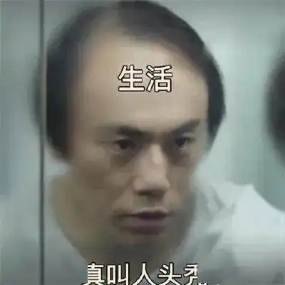 就挺秃然的最近不少兔子开启张东升模式  就挺秃然的最近不少兔子开启张东升模式