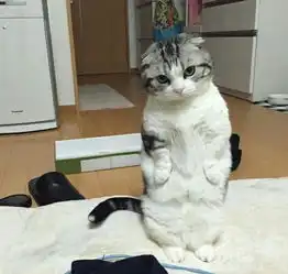 最新幽默笑话大全,搞笑段子大全,搞笑动态图片大全第3822页别逗了笑话网  最新幽默笑话大全,搞笑段子大全,搞笑动态图片大全第3822页别逗了笑话网