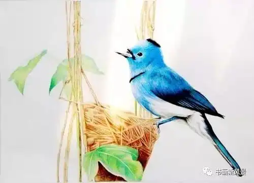  这组小鸟画得太漂亮啦