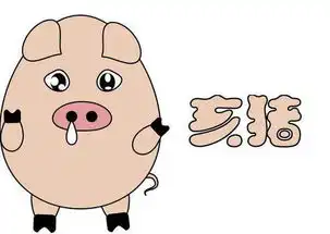  生肖猪在2019年遇到本命年不可以做什么