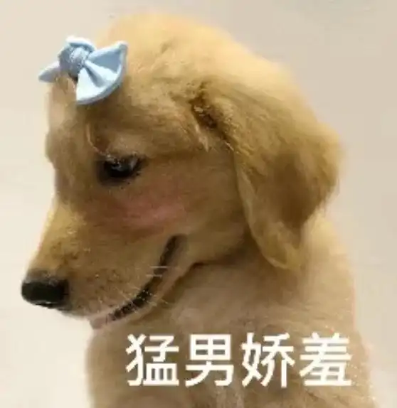  如何用表情包表达害羞
