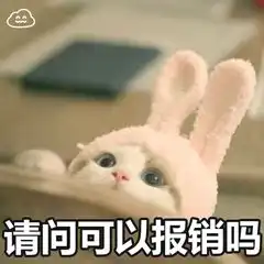  网络常见表情包之喵