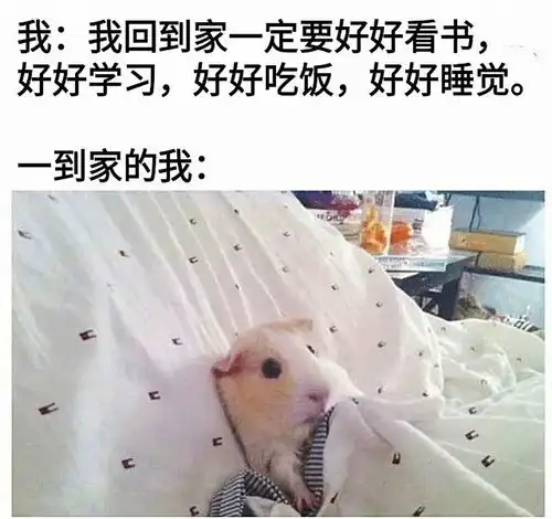  群友沙雕图196侵权删