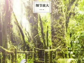 独木桥背景图