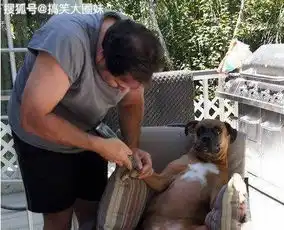  搞笑gif短视频直播泛滥的时代,总会看到疯一般人