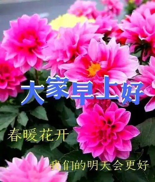  夏季群发早上好最新唯美表情包,好看的早上好祝福语图片带字