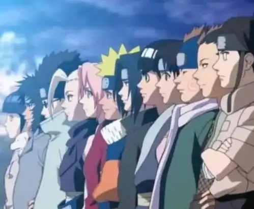 木叶12小强  木叶12小强