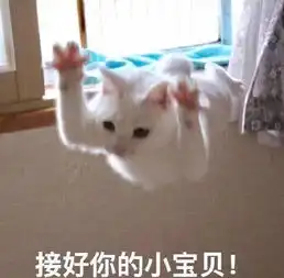  小猫咪教你做人表情你可拉倒吧,不把我放在第1位,就拜拜