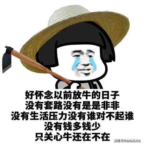  如何不辜负青春别让努力流于苟且
