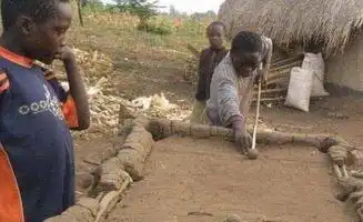  马里共和国遍地黄金,当地人却穷到要用黄金换粮食