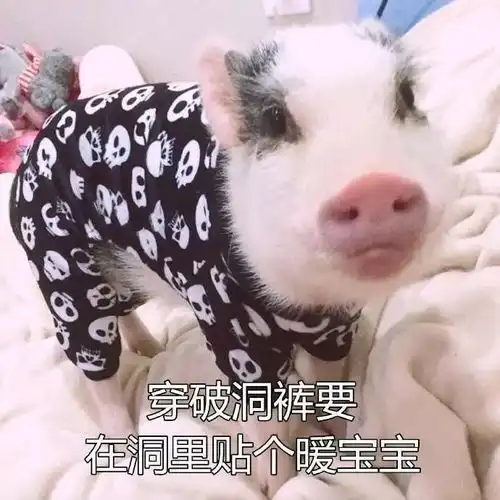  中年少女养生指南,赶快学习起来
