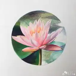  彩铅达人绘荷风送香气,竹露滴清响