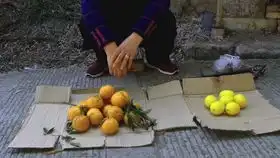 四川方言爆笑收废品  四川方言爆笑收废品