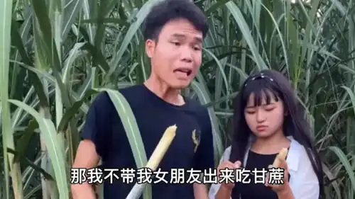  搞笑喜剧,广西靓仔带女朋友来吃甘蔗,太搞笑了