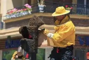 让人意外的图片不仅搞笑而且尴尬还很无语  让人意外的图片不仅搞笑而且尴尬还很无语