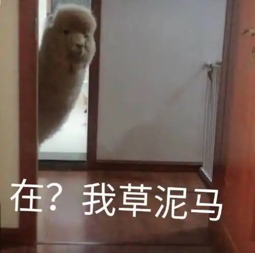 超级适合发朋友圈的搞笑图片和文案  超级适合发朋友圈的搞笑图片和文案