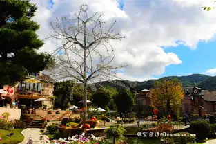 富士山下吃喝玩乐一日游线路推荐  富士山下吃喝玩乐一日游线路推荐