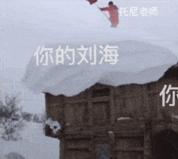  搞笑gif段子这狗子莫不是成精了吧