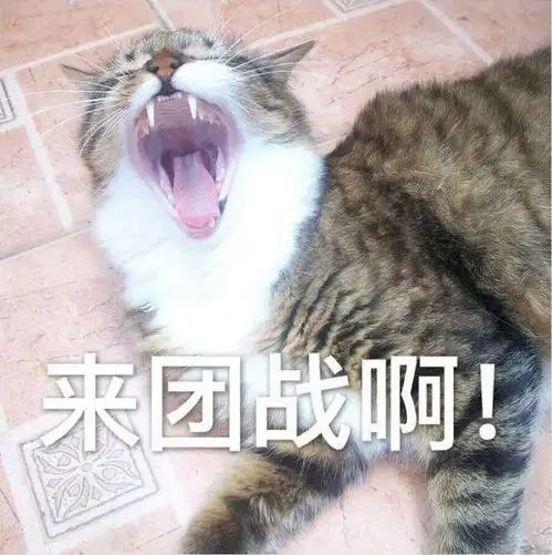  教你成为一个人人都想和你组队的神队友