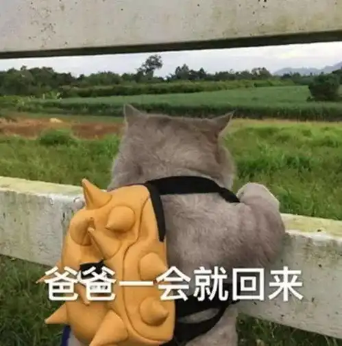  100个沙雕有趣的搞笑表情包