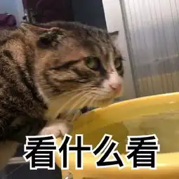  表情包大郎该吃药了