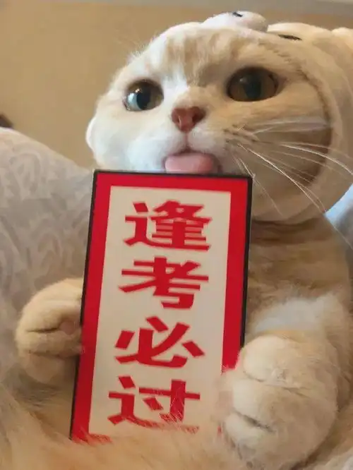  萌宠头像明天就要放假了,下个月就要高考了