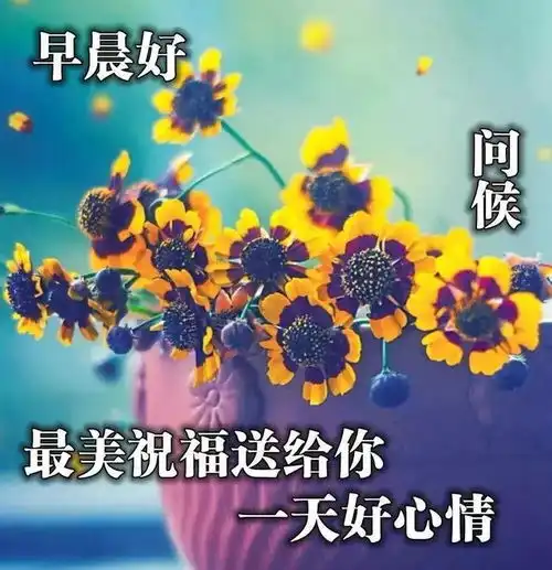  最新早安问候表情图片心语大全,周五吉祥,吉祥之晨,祝福送上