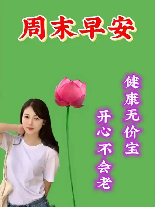  2024年8月25日周日精选早安祝福图片,雨过菊花香,又感秋风凉早安祝福美图分享给您网易订阅